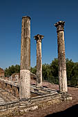 Villa Adriana - Edificio con criptoportico e peschiera 